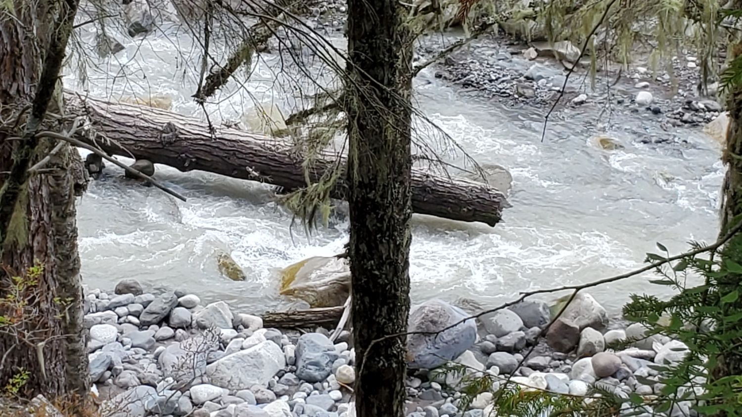 Mount Rainier NP 